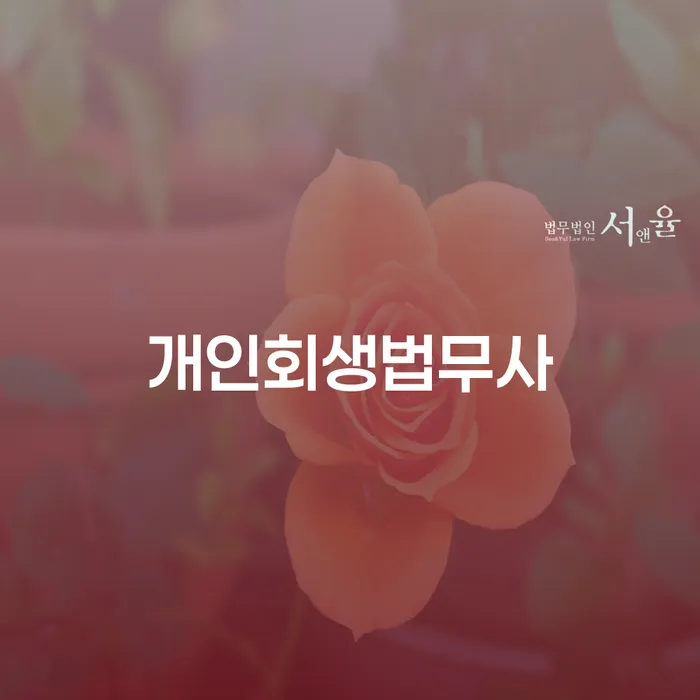 개인회생 기각률 낮고 채무조정제도을 이용하여 자세하게 알아보자
