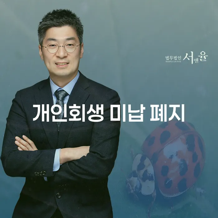페퍼저축은행햇살론 연체 시 채무조정제도을 이용하여 잘하는 사무소