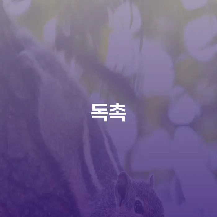 양천구 신용불량 개인회생 처리방법 모든정보