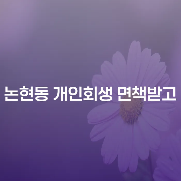 논현동 개인회생 면책받고