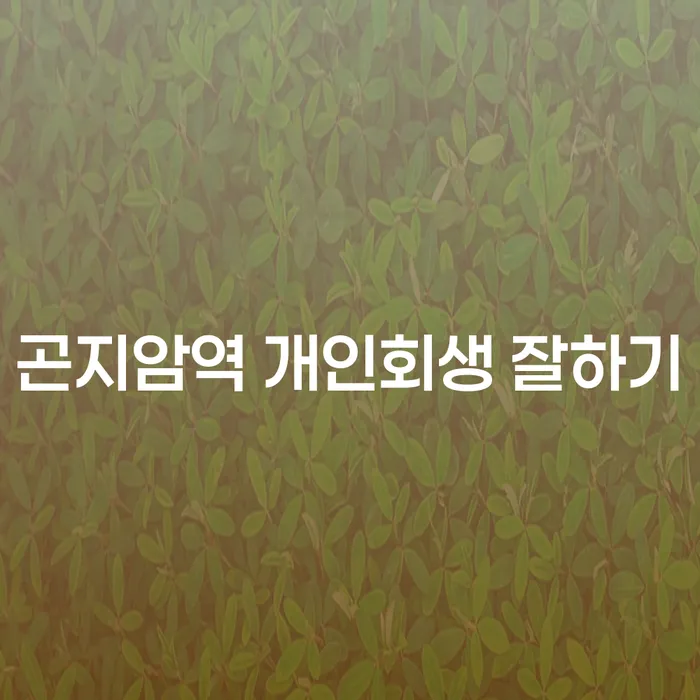 곤지암역 개인회생 잘하기