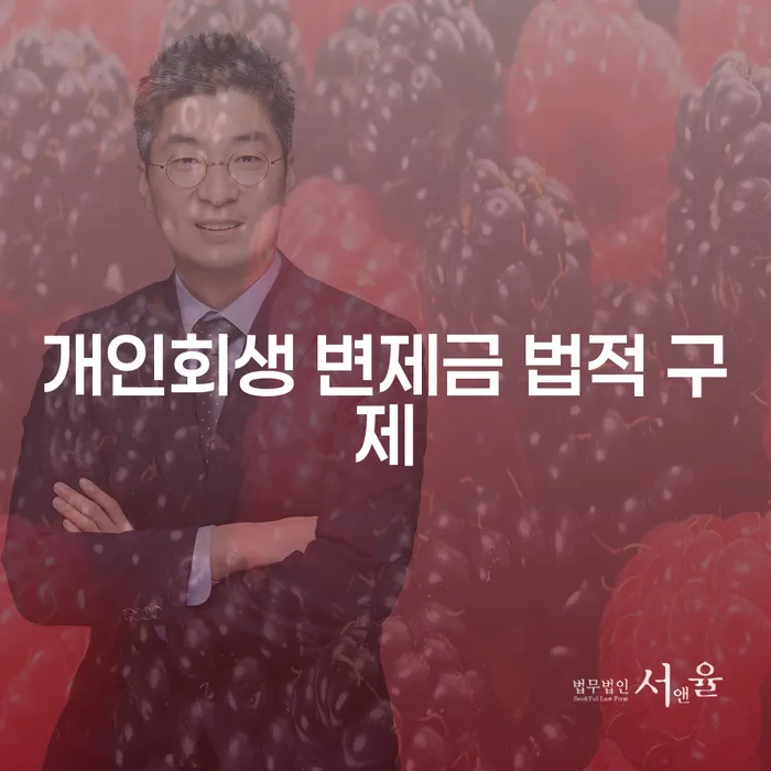 개인회생 변제금 법적 구제를 통한 채무 해결의 길은 무엇일까요?