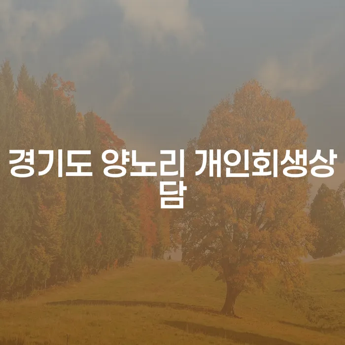 경기도 양노리 개인회생상담, 어떻게 시작해야 할까?