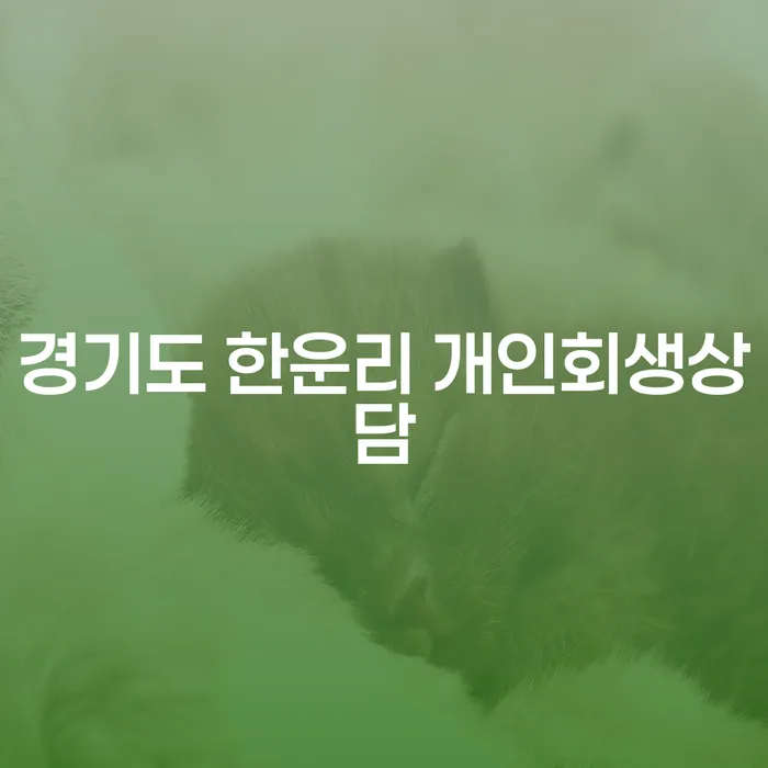 경기도 한운리에서 개인회생상담을 통해 재정적 어려움을 극복하는 방법은?