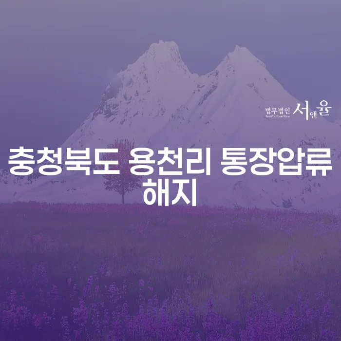 충청북도 용천리 통장압류해지, 어떻게 해결할 수 있을까요?