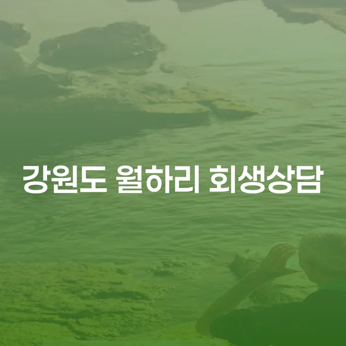 강원도 월하리에서 회생 상담을 받아야 하는 이유는 무엇일까요?