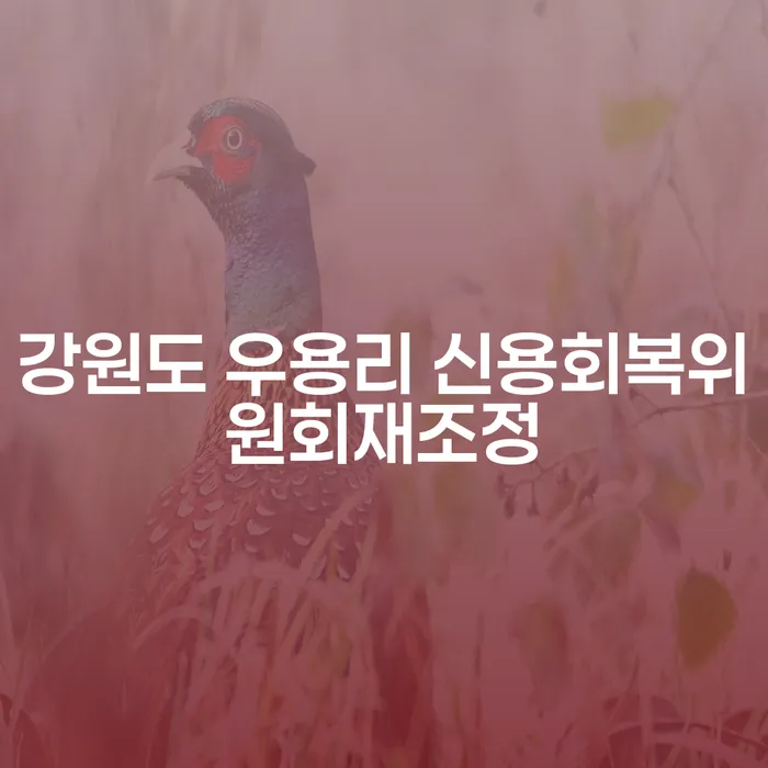 강원도 우용리 신용회복위원회재조정이 필요한 이유는 무엇일까요?