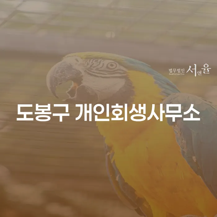어떻게 도봉구 개인회생사무소가 채무 해결의 열쇠가 될 수 있을까요?